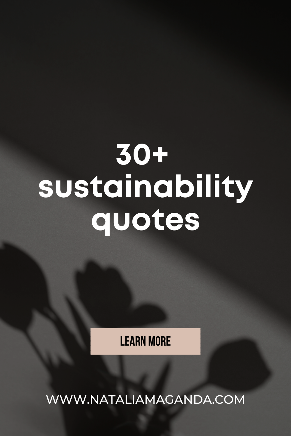 sustainability quotes