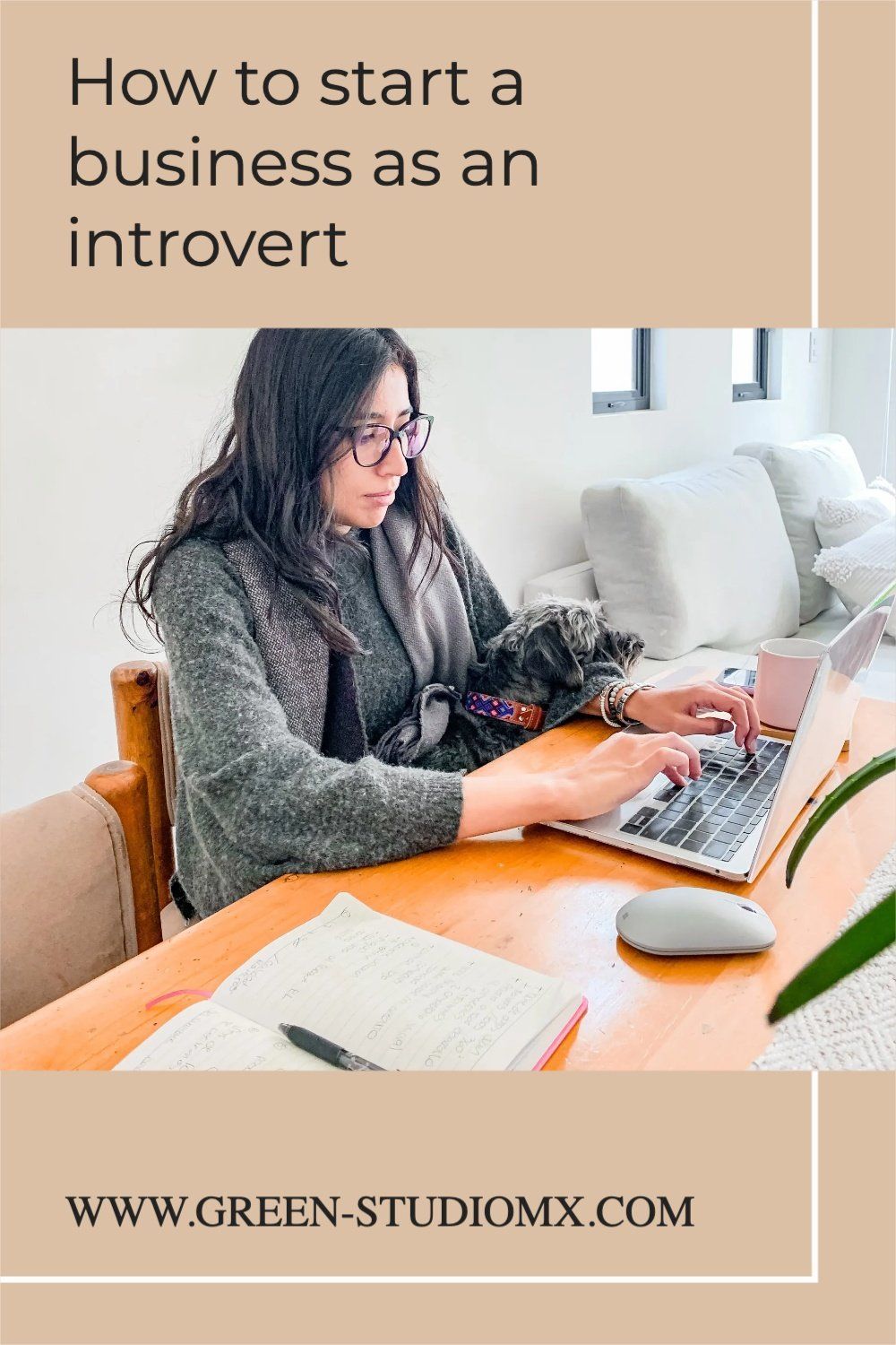 how to start a business as an introvert