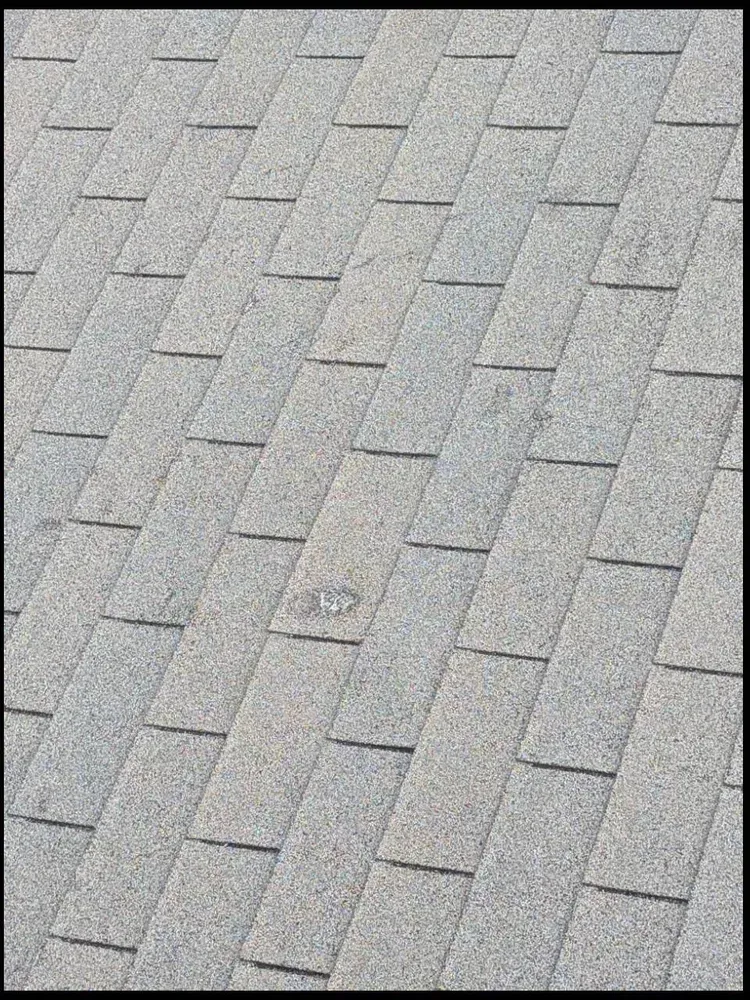 Gray asphalt shingle roof.
