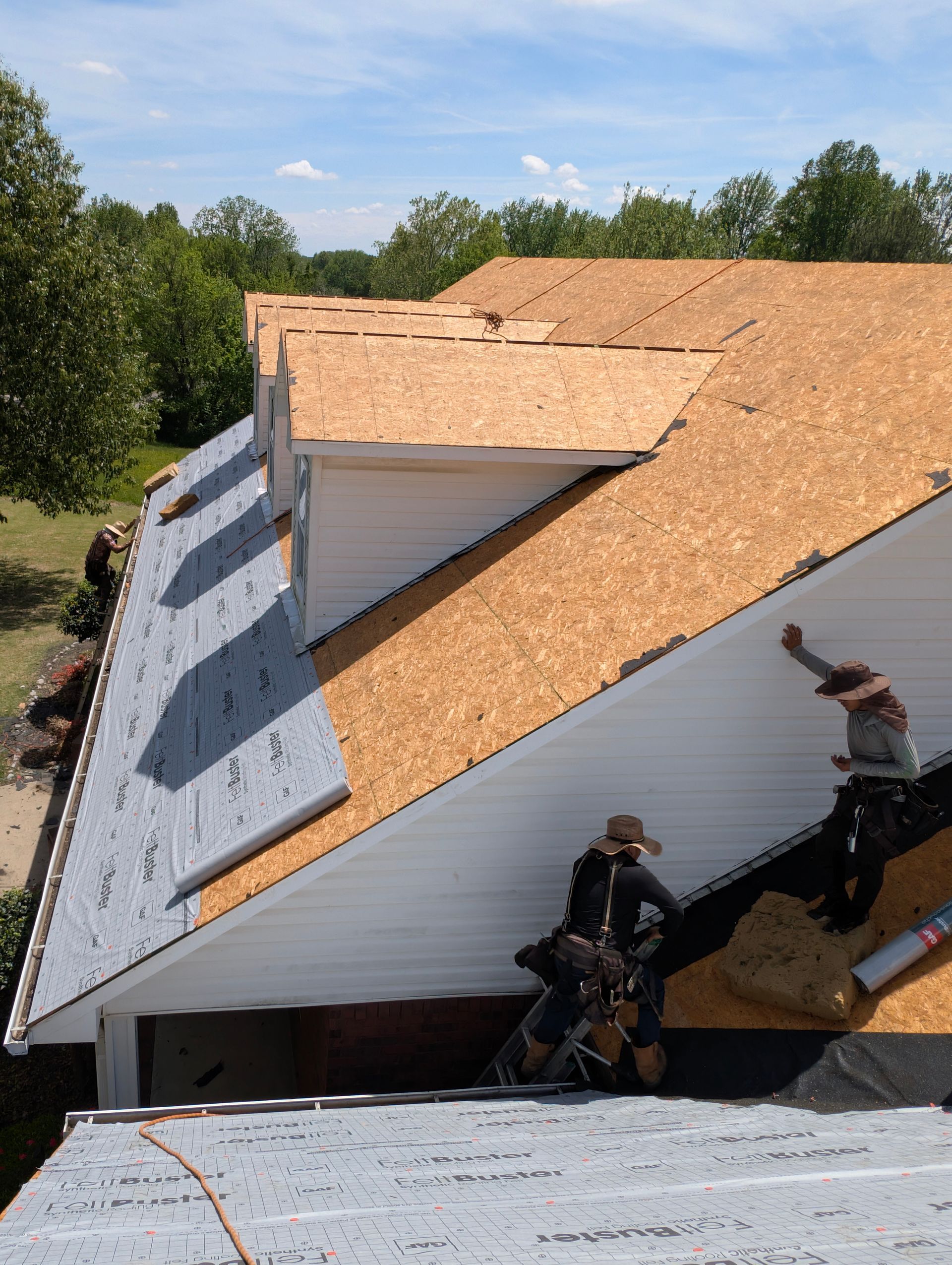 Roofers installing shingles on a house with plywood underlayment and white siding. Sunny day.