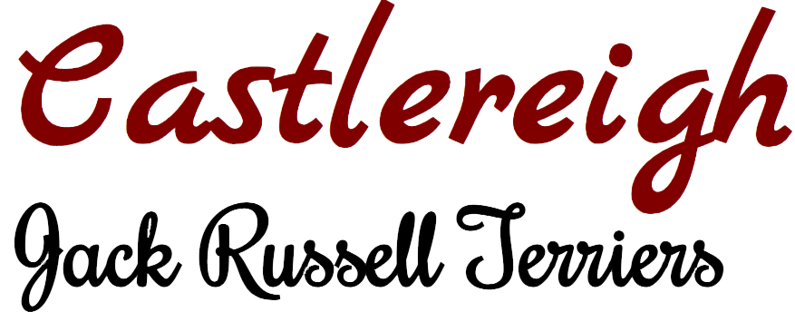 The logo for castlereigh jack russell terriers is red and black.