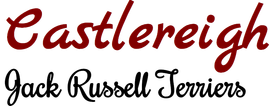 The logo for castlereigh jack russell terriers is red and black.