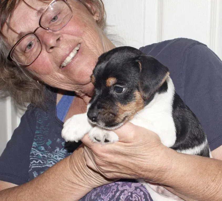 A woman wearing glasses is holding a black and white puppy