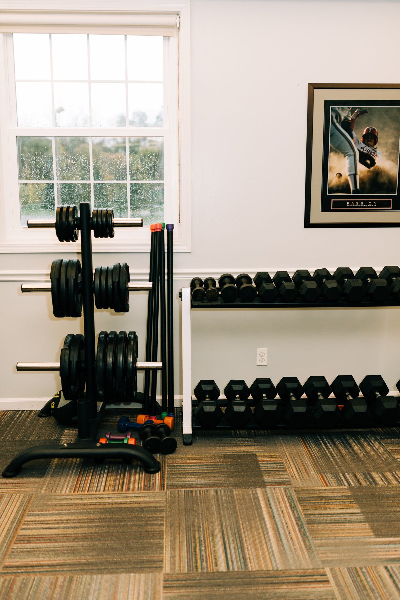 A gym with a lot of dumbbells and a picture on the wall.