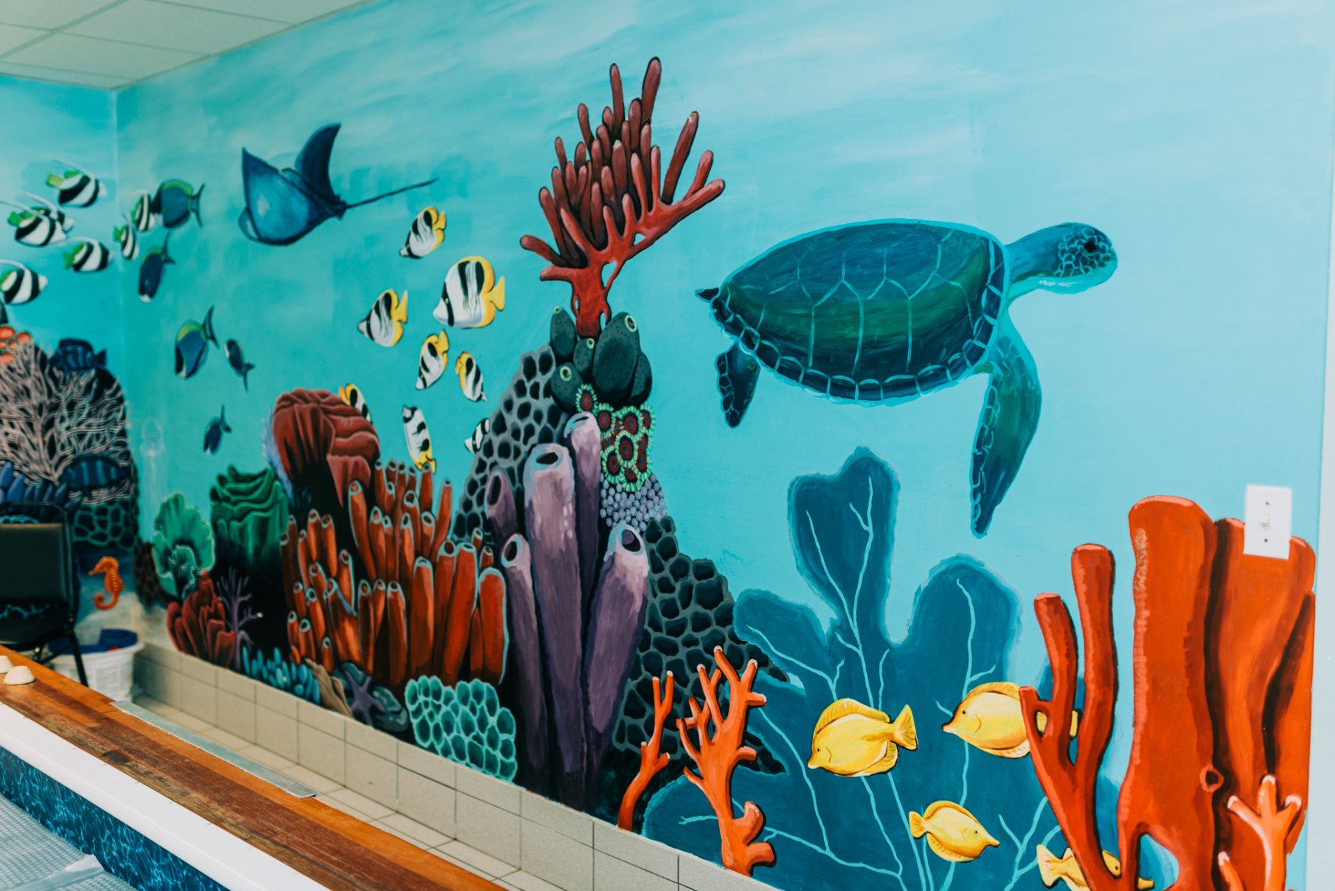 A mural of a coral reef with sea turtles and fish