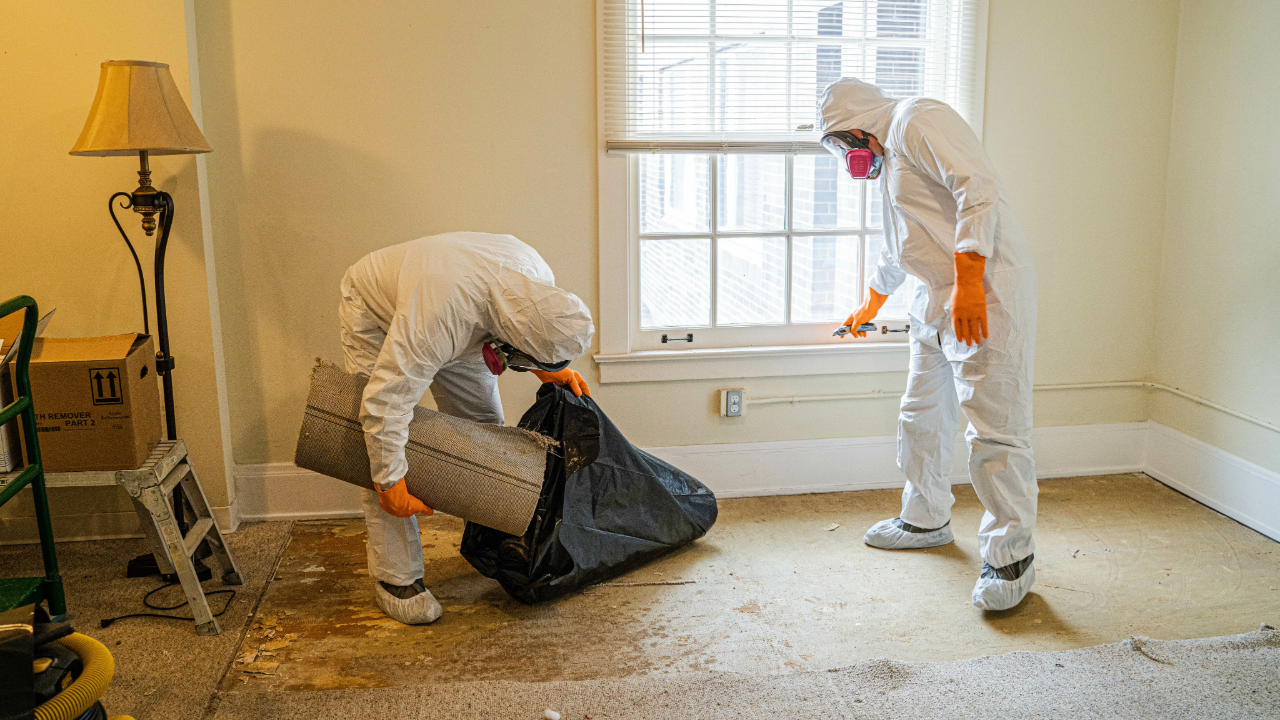 Two men in protective suits are cleaning a room.