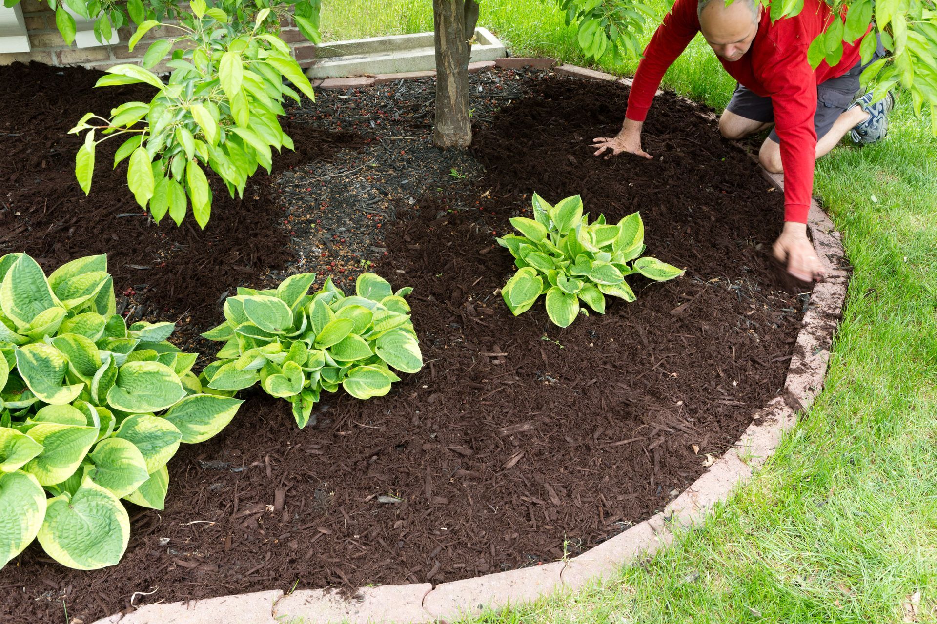 Escanaba lawn care