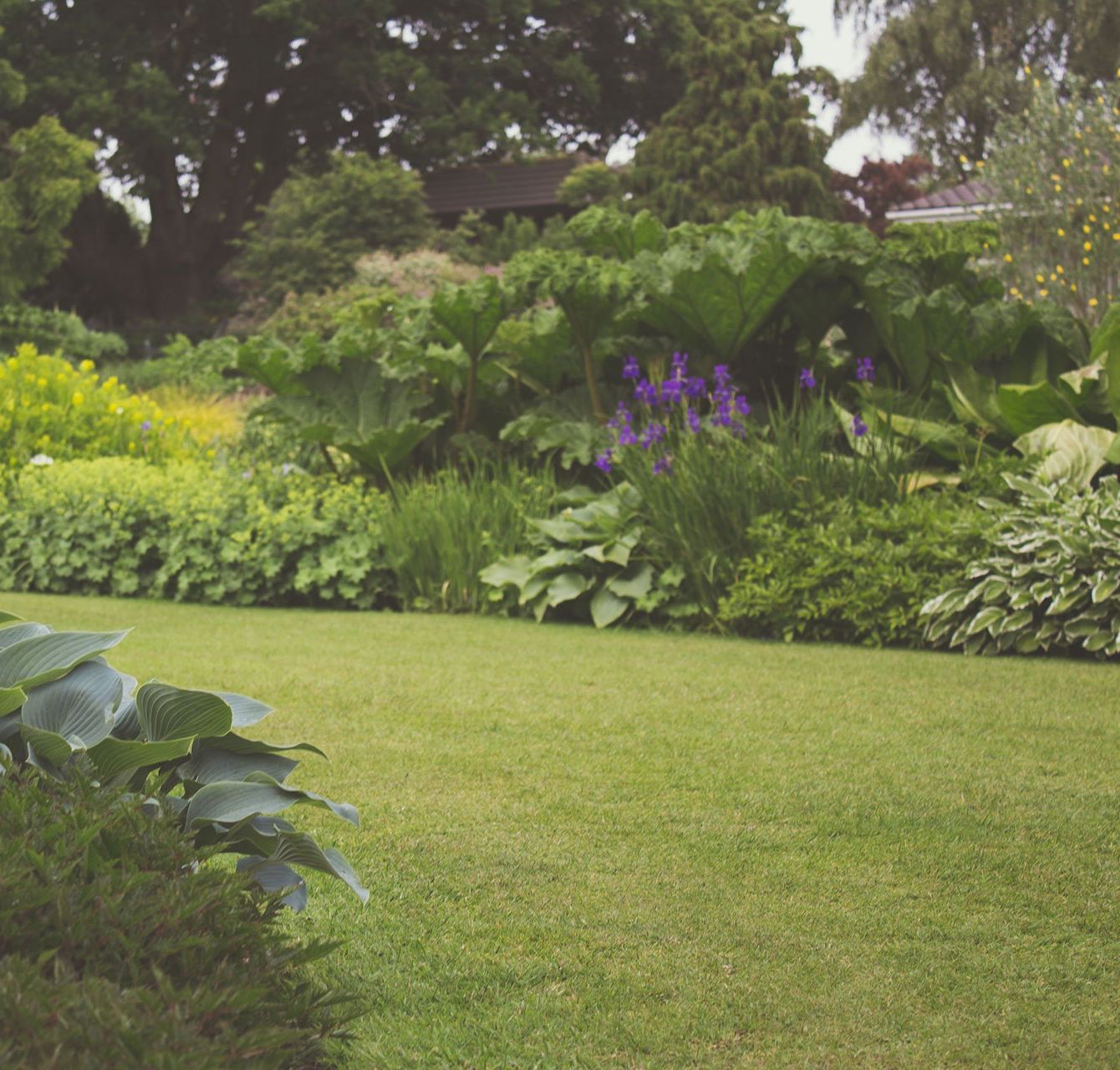 Lush green lawn and garden bed filled with various plants and flowers in a sunny outdoor setting.