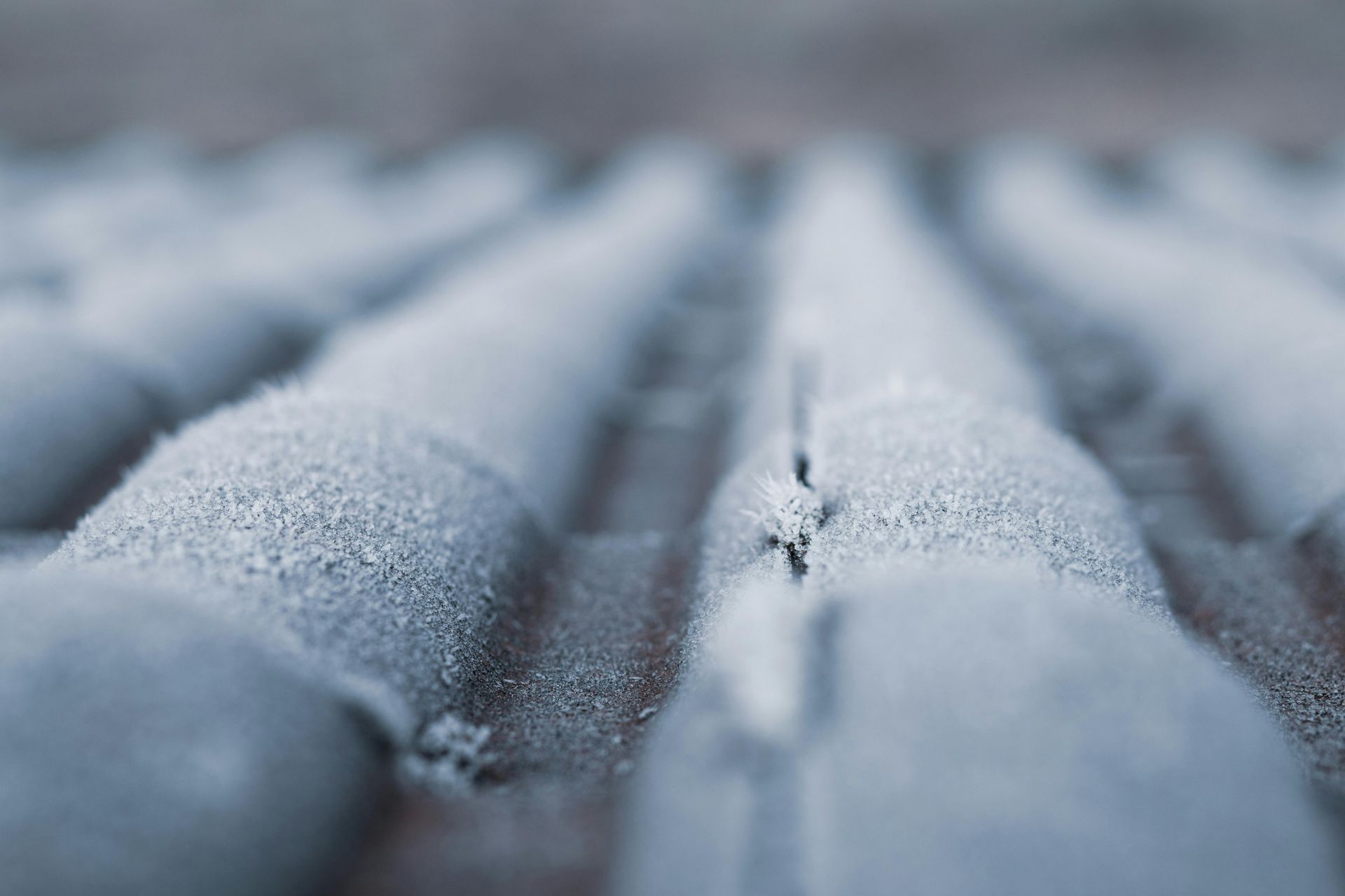 Dark roofing tiles covered in a thin layer of frost.