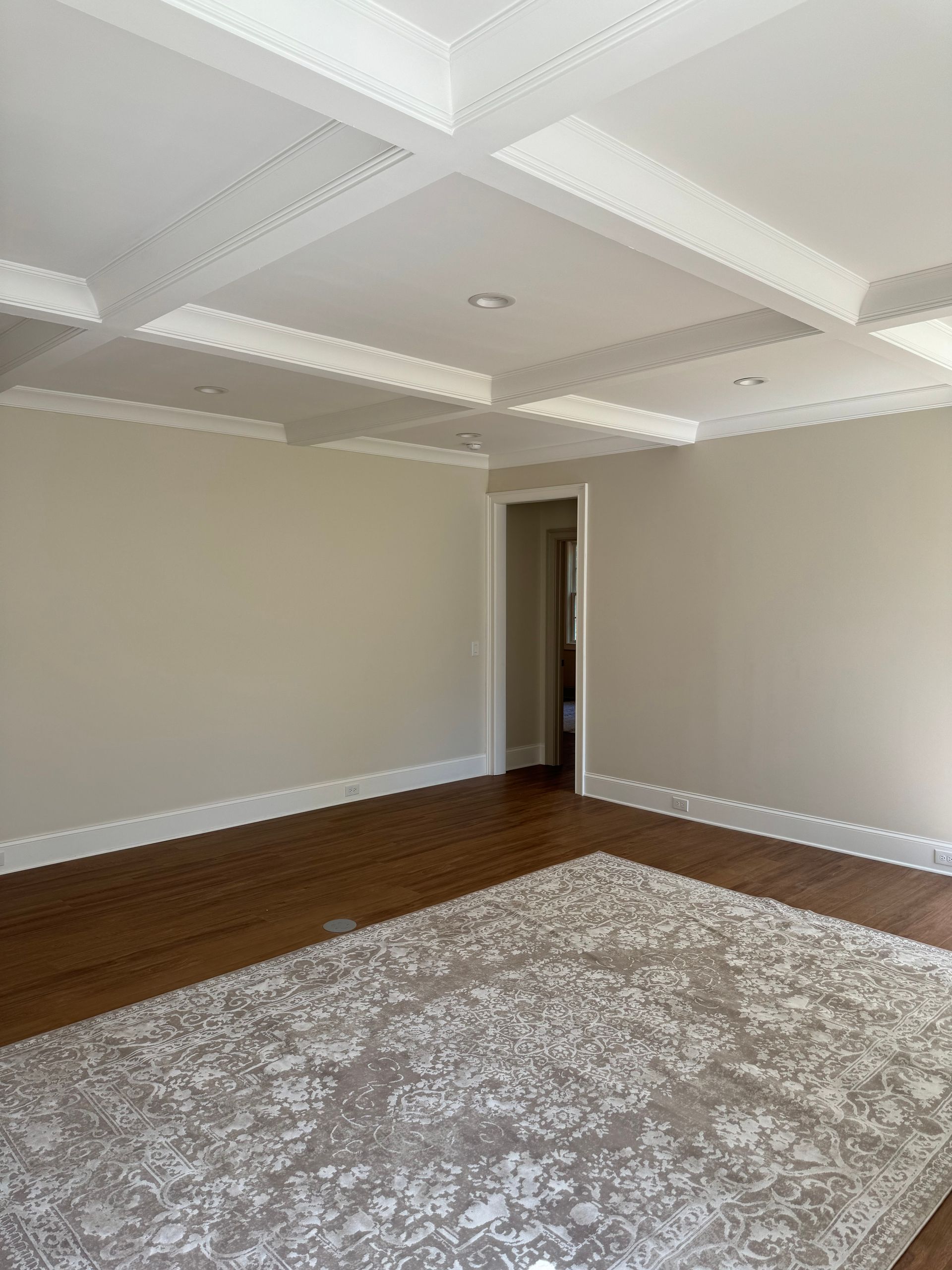 An empty living room with hardwood floors and a rug.