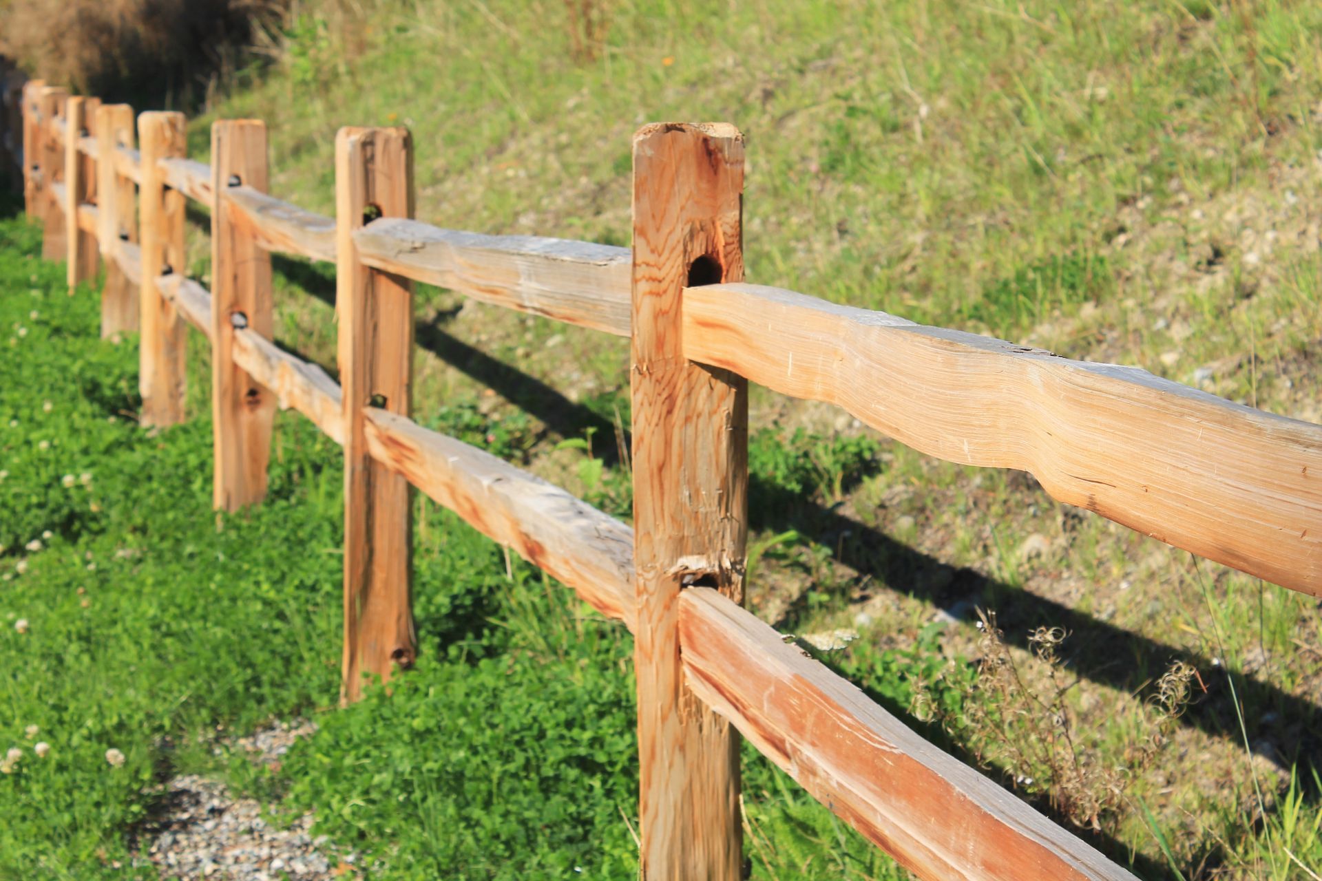 Wooden split-rail fence alongside a grassy area in sunlight.