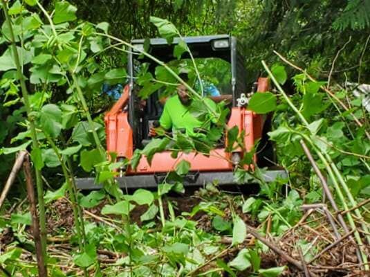 Residential excavating services in Lacey, WA