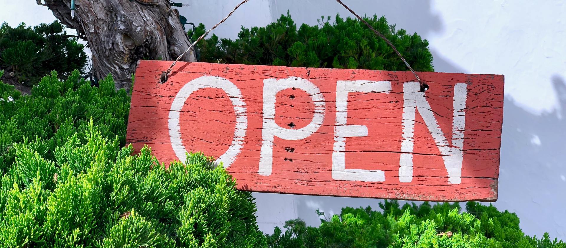 A red open sign is hanging from a tree