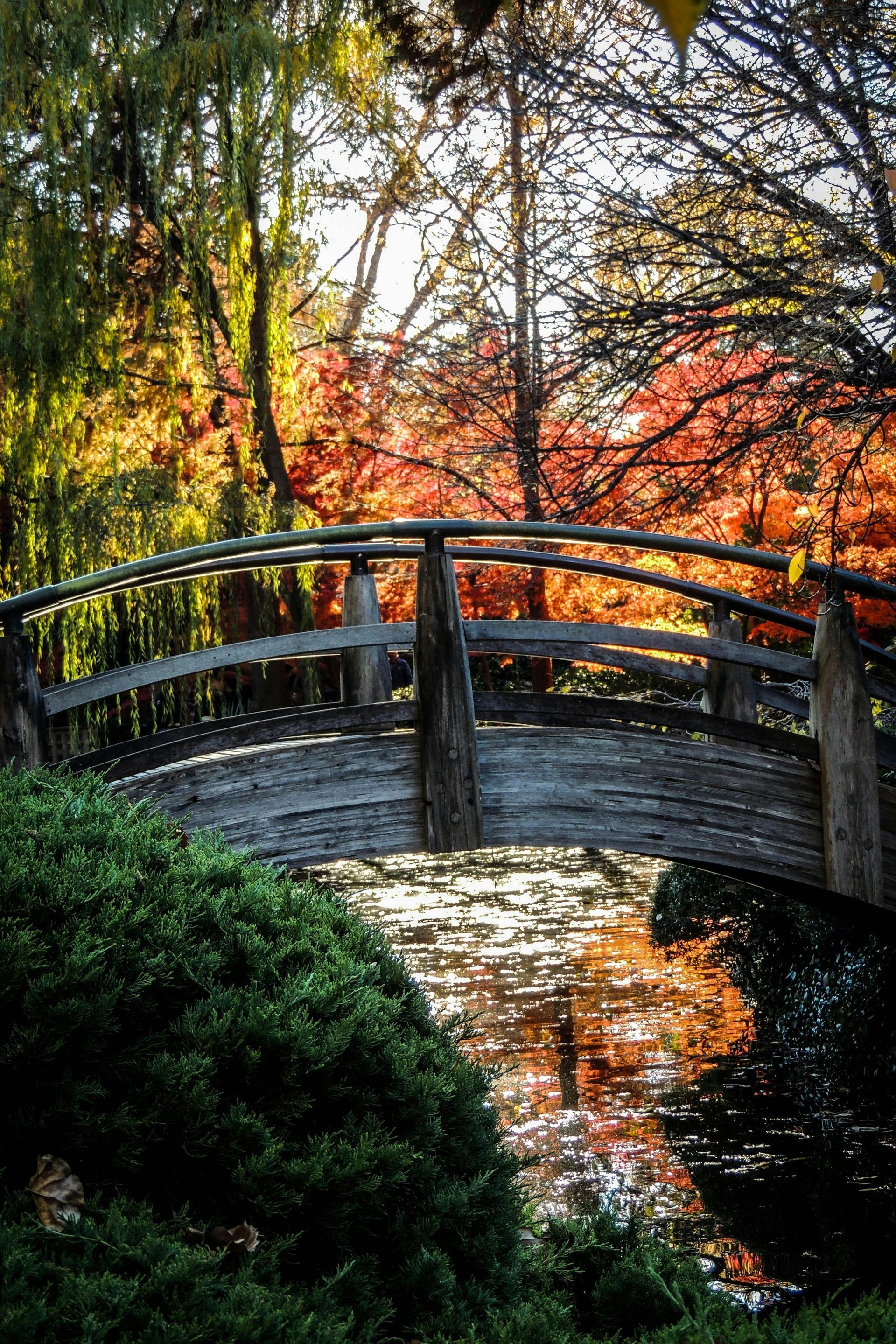 a short wooden bridge with a small river flowing under