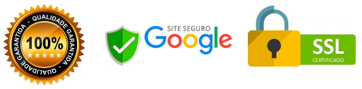 A Google logo secure website