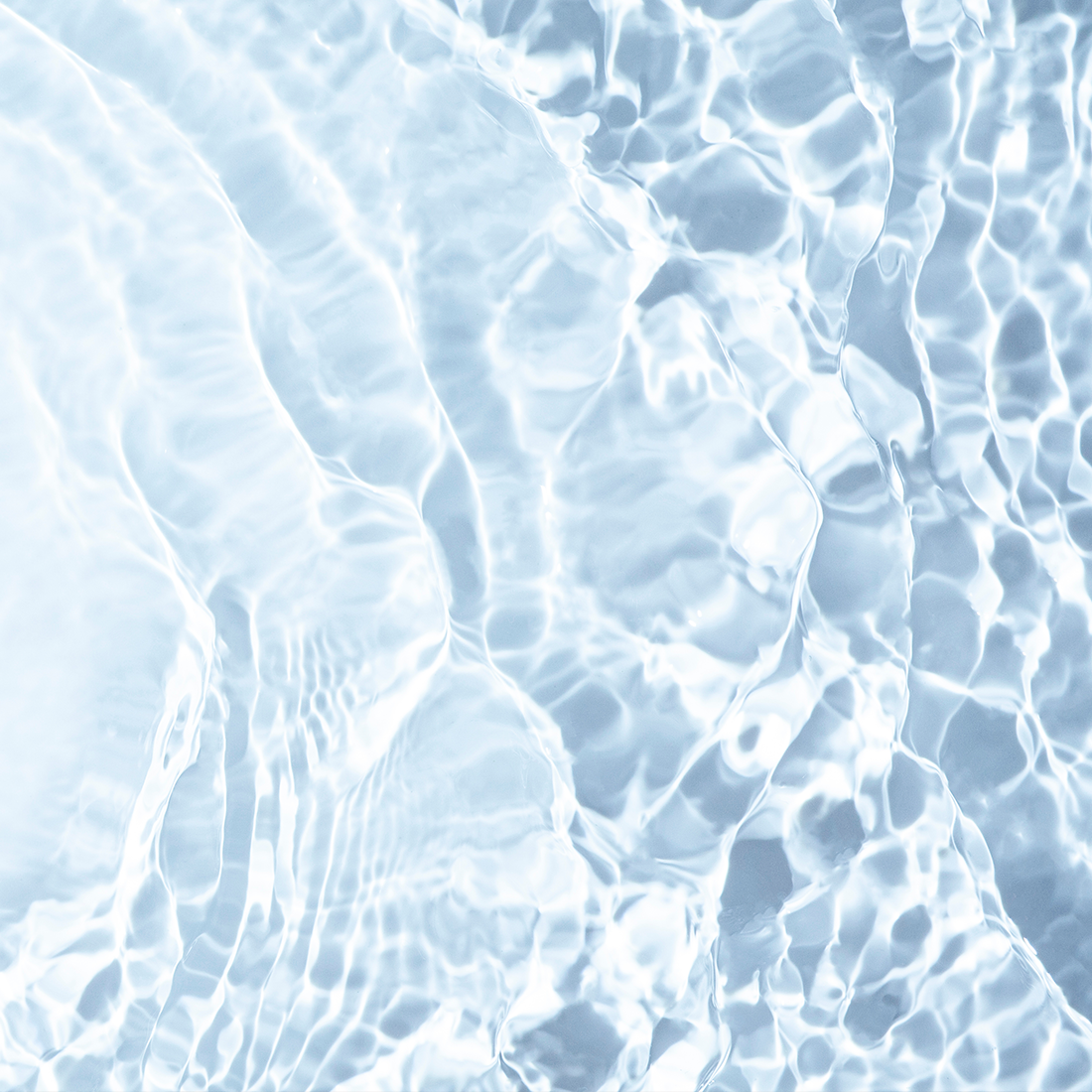 Light blue water surface with ripples and reflections.