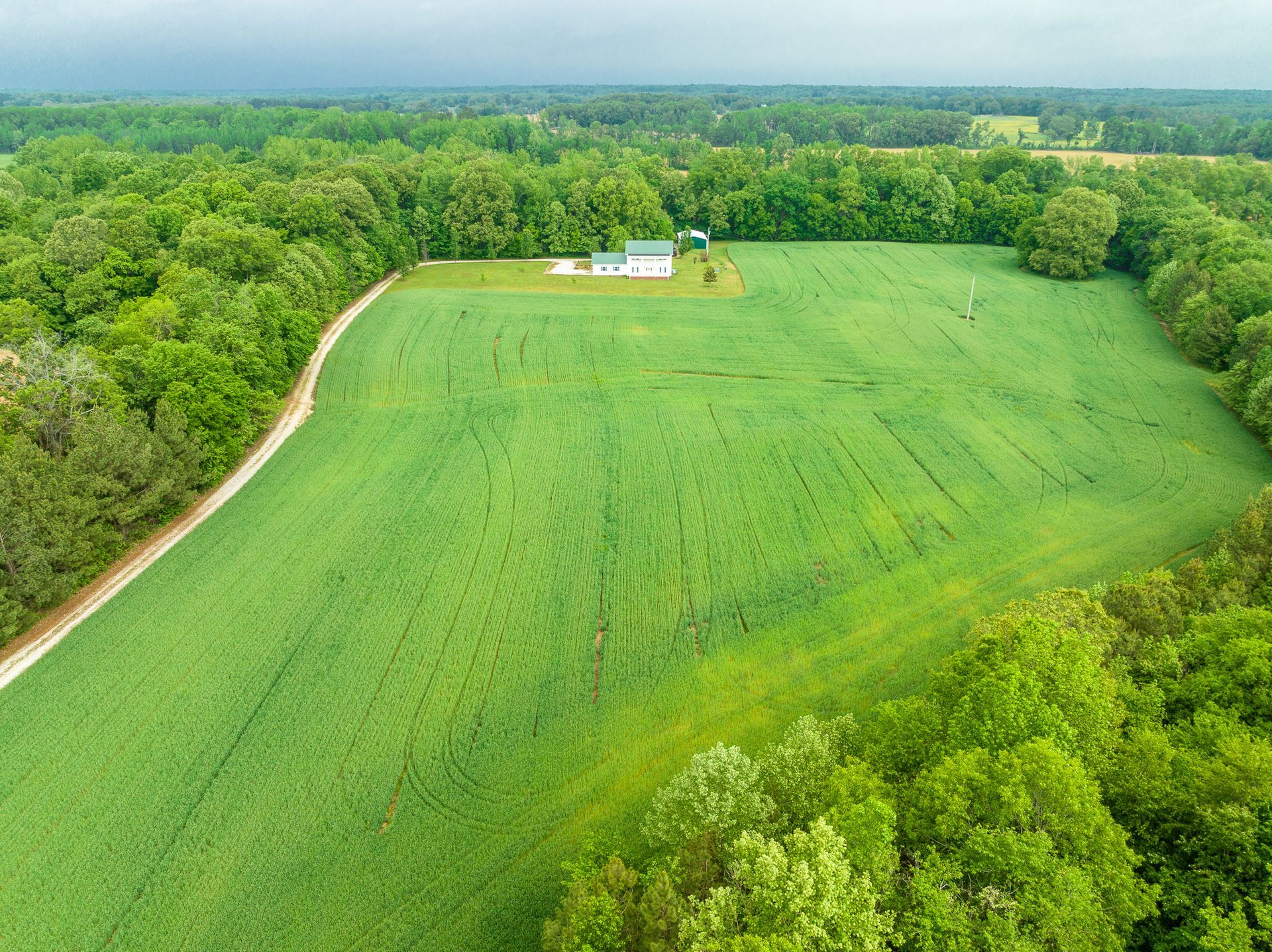 An aerial view of a large green field surrounded by trees and a dirt road.