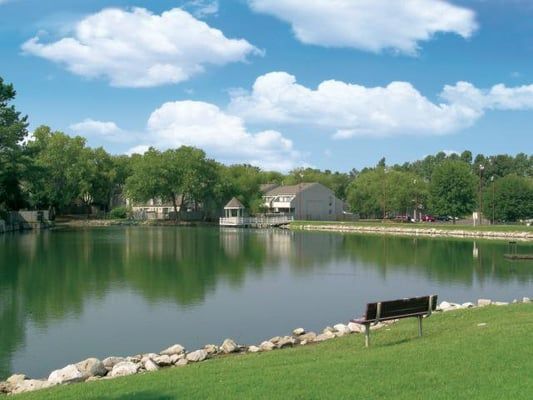 Lake view with bench