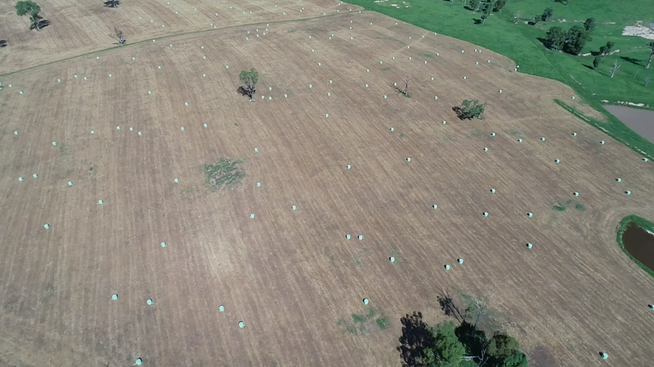 Silage at Mick Fraser's