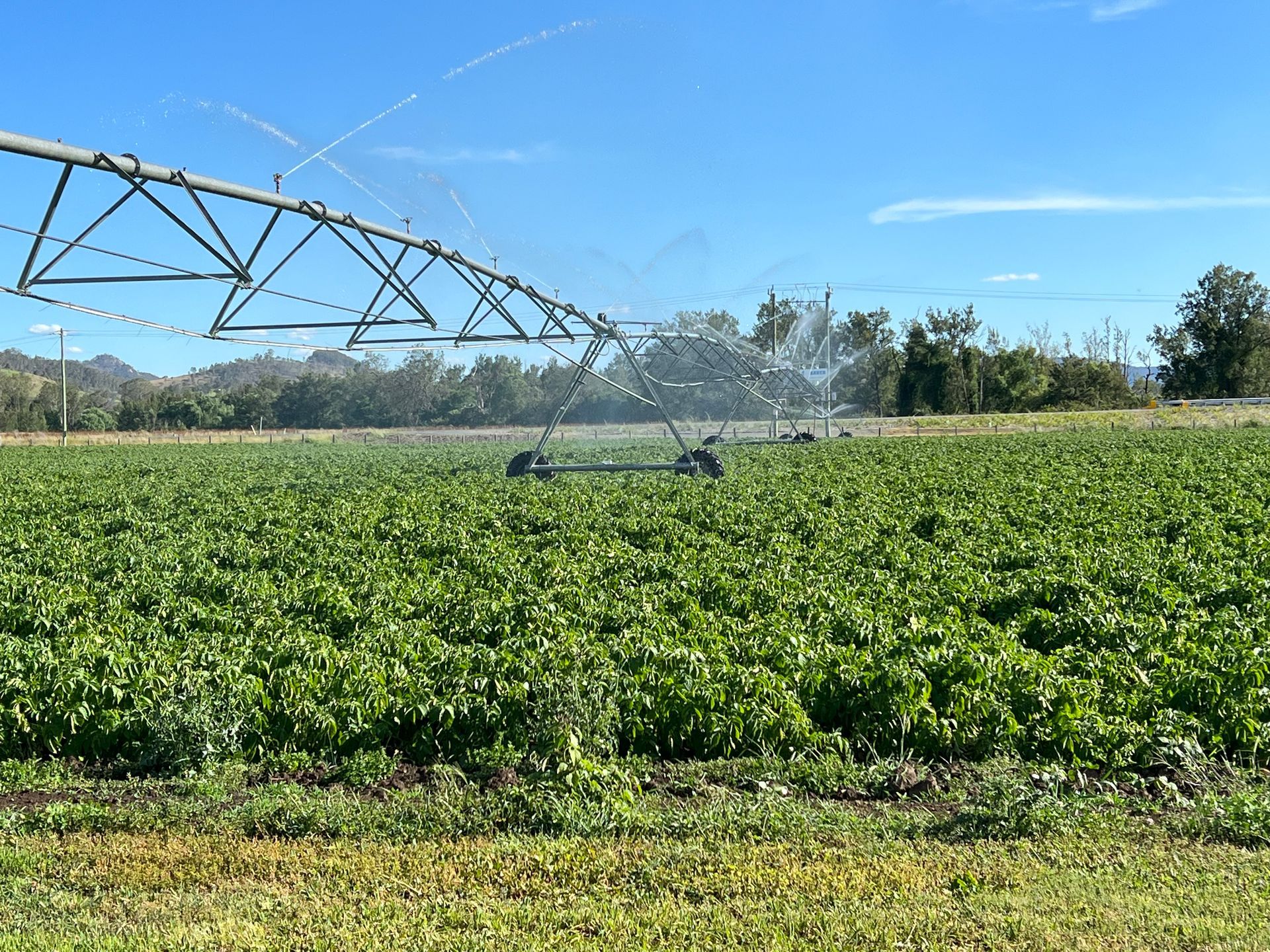 Irrigation Systems — Quality Farm Products in Gloucester, NSW