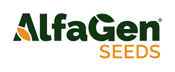 Alfagen Seeds