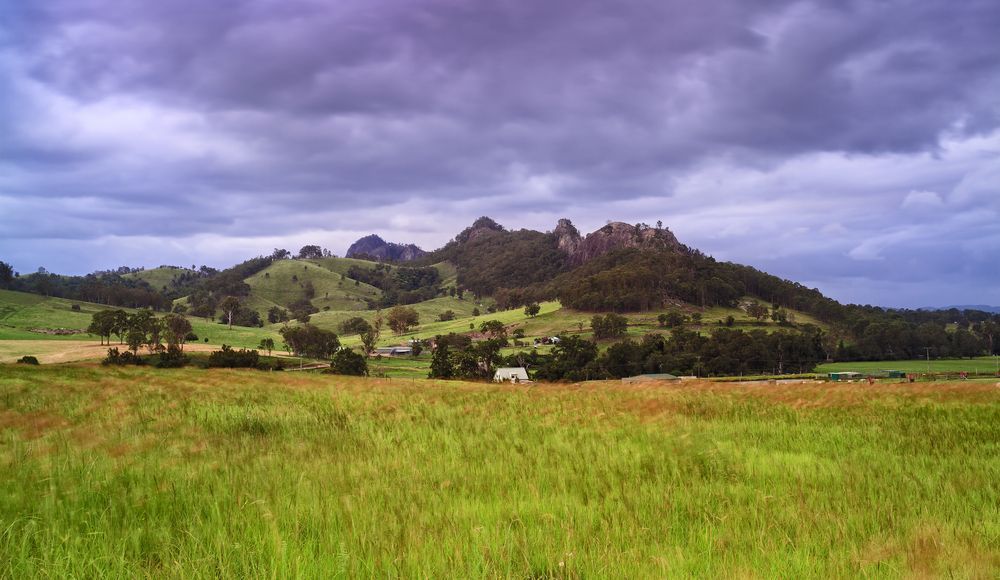 Wheat Field of Gloucester — Gloucester Rural Supplies in Gloucester, NSW