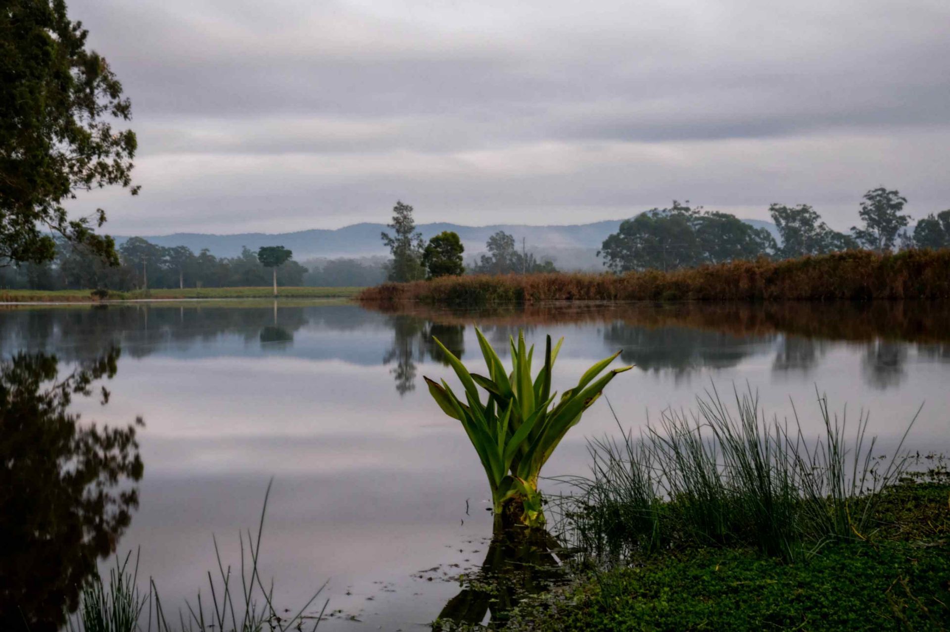 View of Bulahdelah — Gloucester Rural Supplies in Bulahdelah, NSW