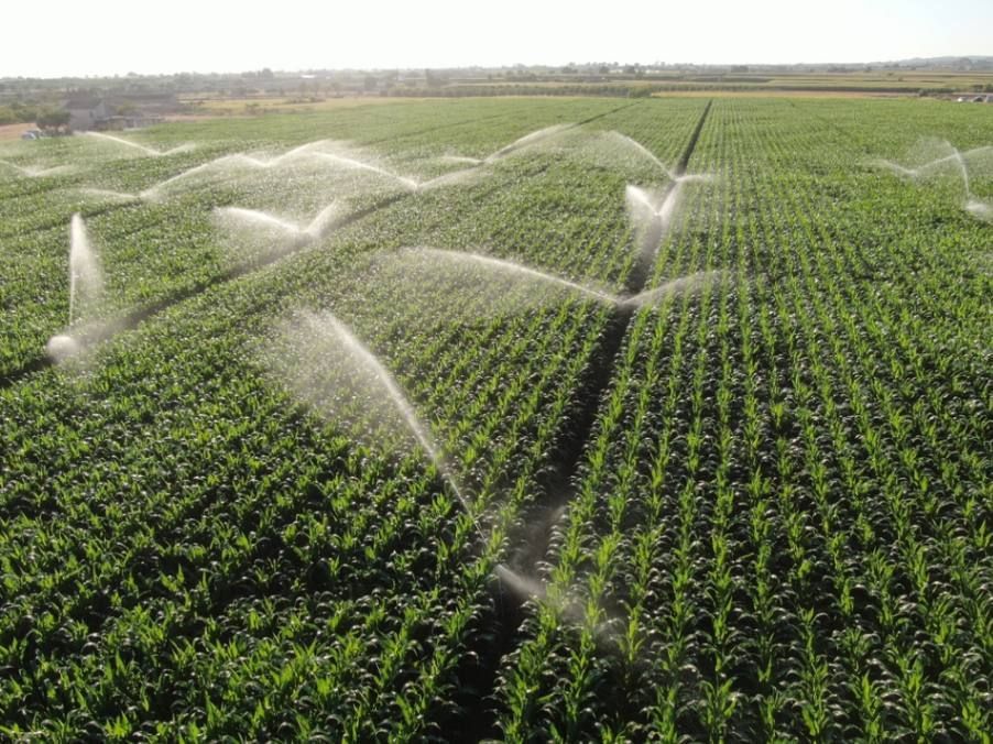 Irrigation - — Quality Farm Products in Gloucester, NSW
