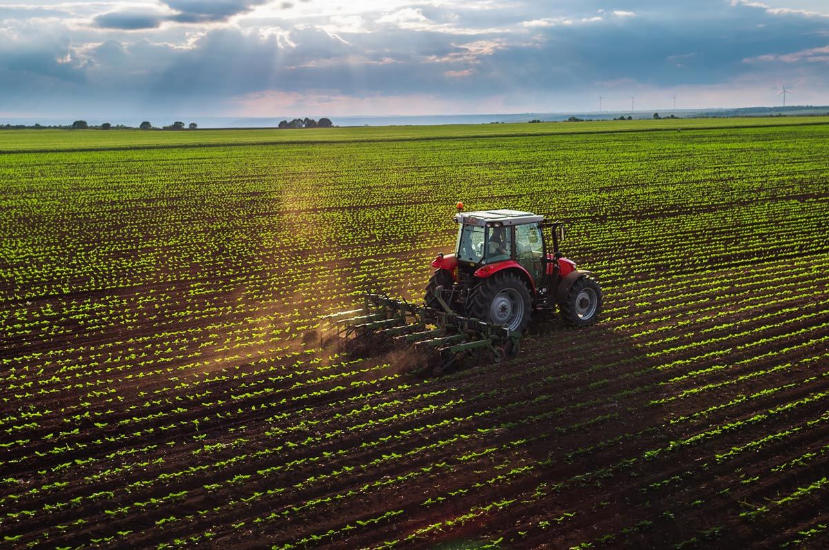Agriculture Law Attorney Bismarck ND