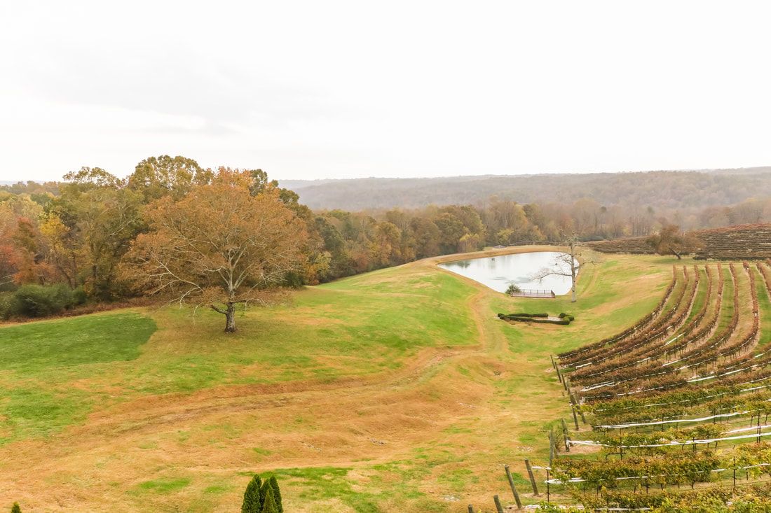 There is a pond in the middle of the field.