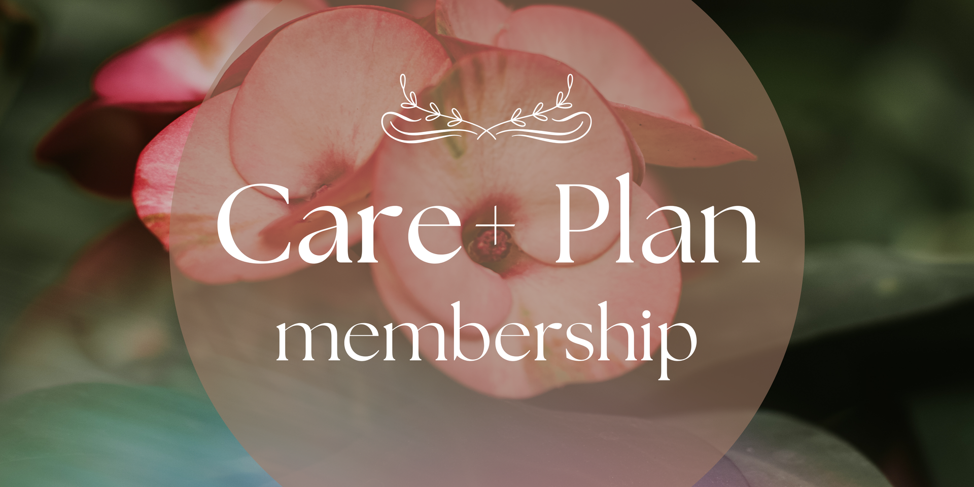 Hands cupped, holding a small red heart; resting on a white sheet.