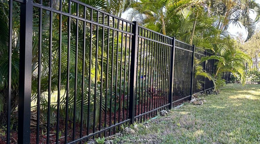A black metal picket fence stretches through a residential yard, bordered by green tropical plants and palm trees.