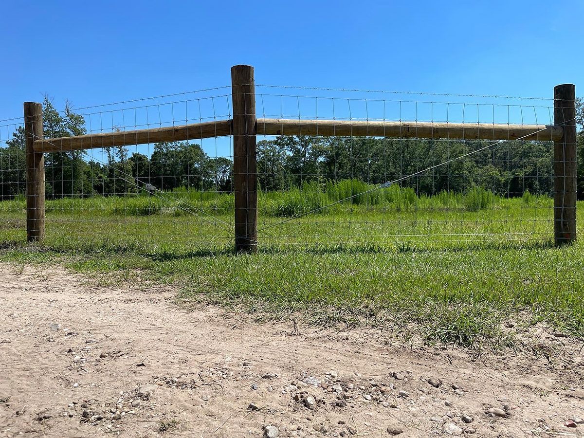 Wooden fence with wire, in a grassy field with trees and a blue sky.