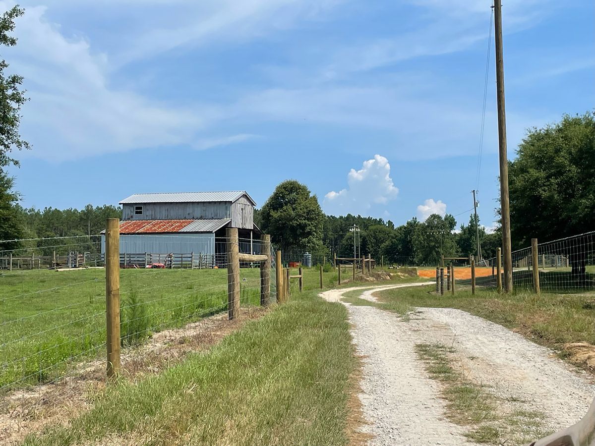 Gravel drive leads to a weathered barn on a sunny day, surrounded by fences and trees.