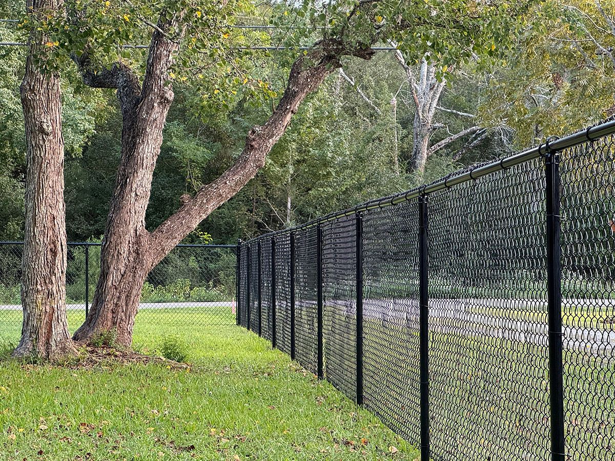 Black chain-link fence bordering a green grassy area with trees.