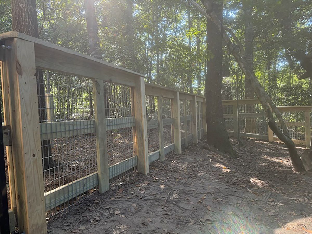 Wooden fence with wire mesh in a wooded area.