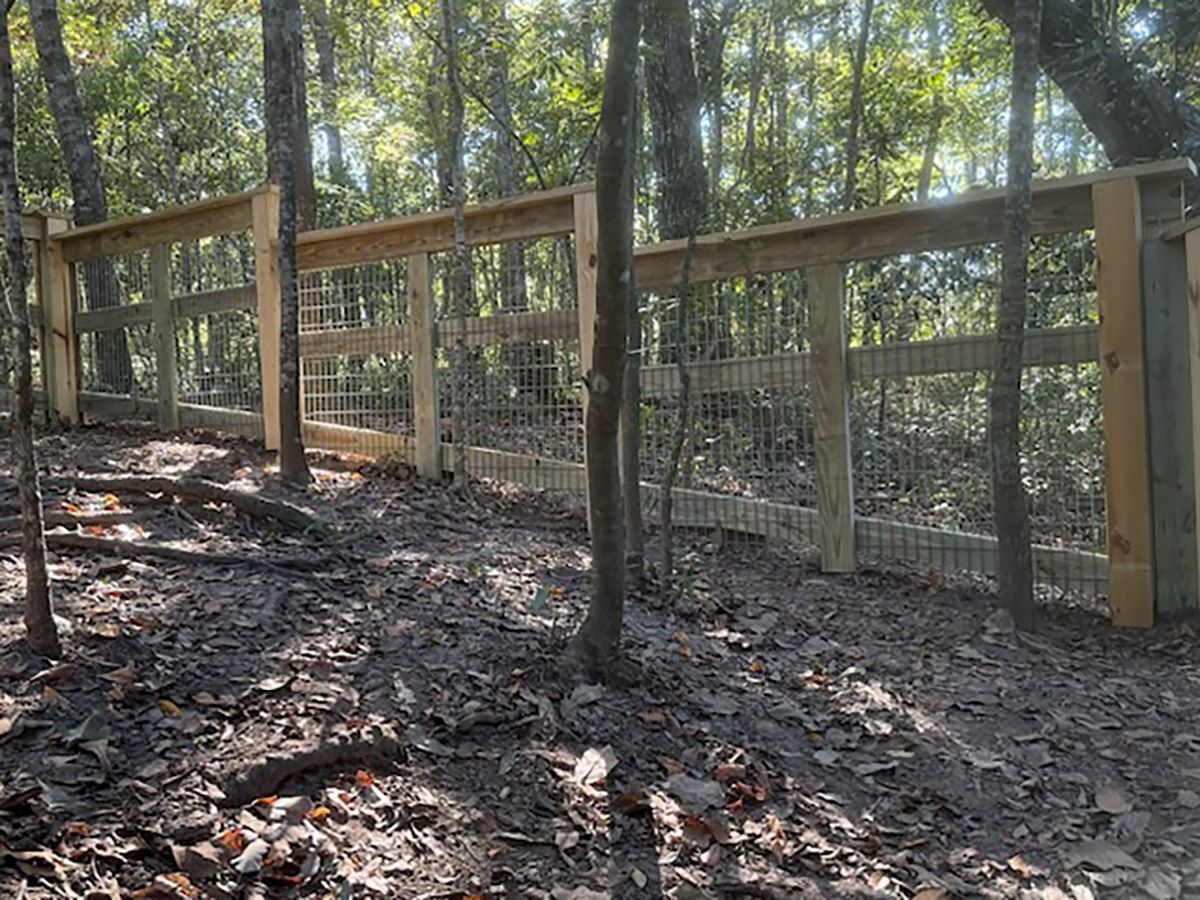A wooden fence in a forest setting, with wire mesh panels.