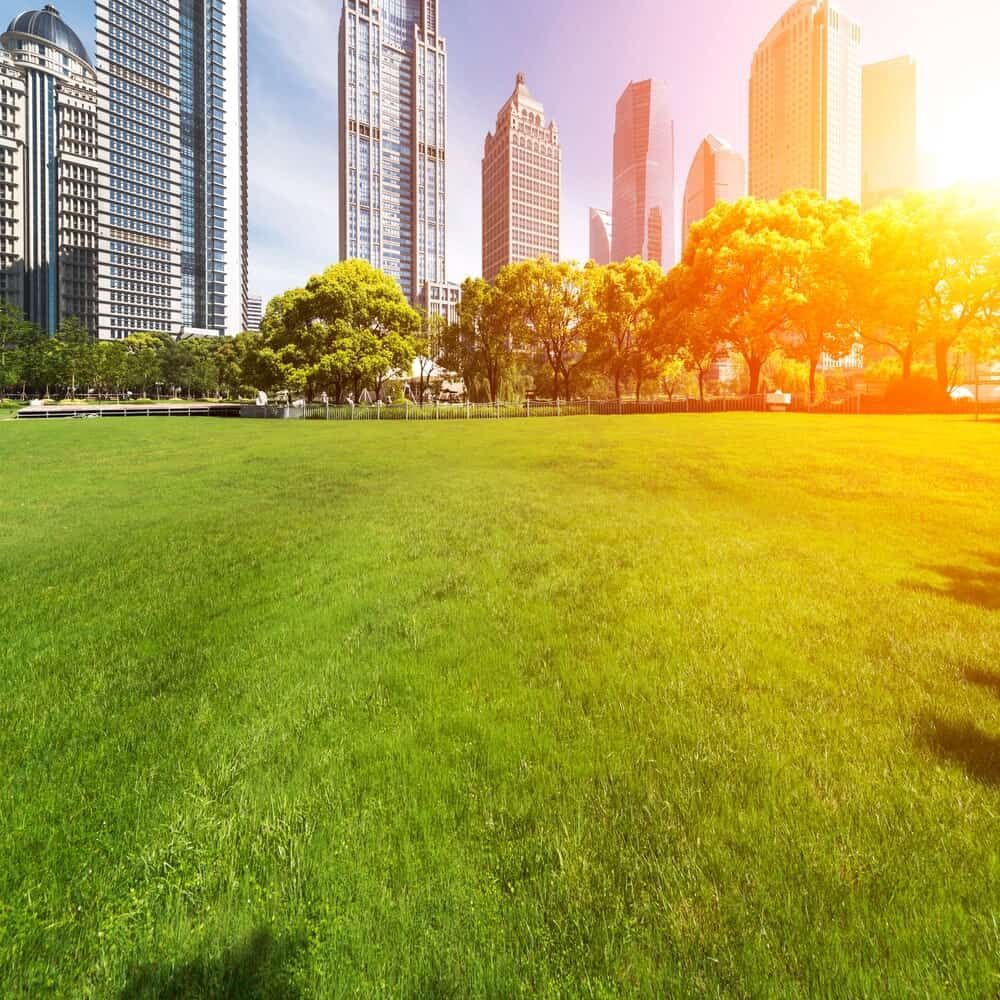 Commercial Buildings — Electrical Solutions in Coolum Beach, QLD