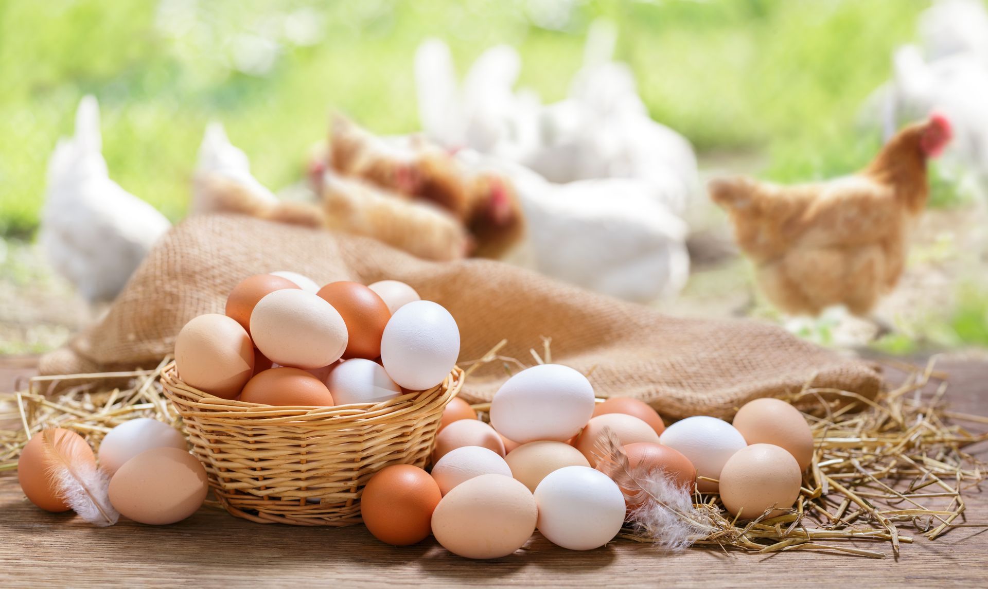 Basket of brown and white eggs on a wooden surface with chickens in the blurred background.
