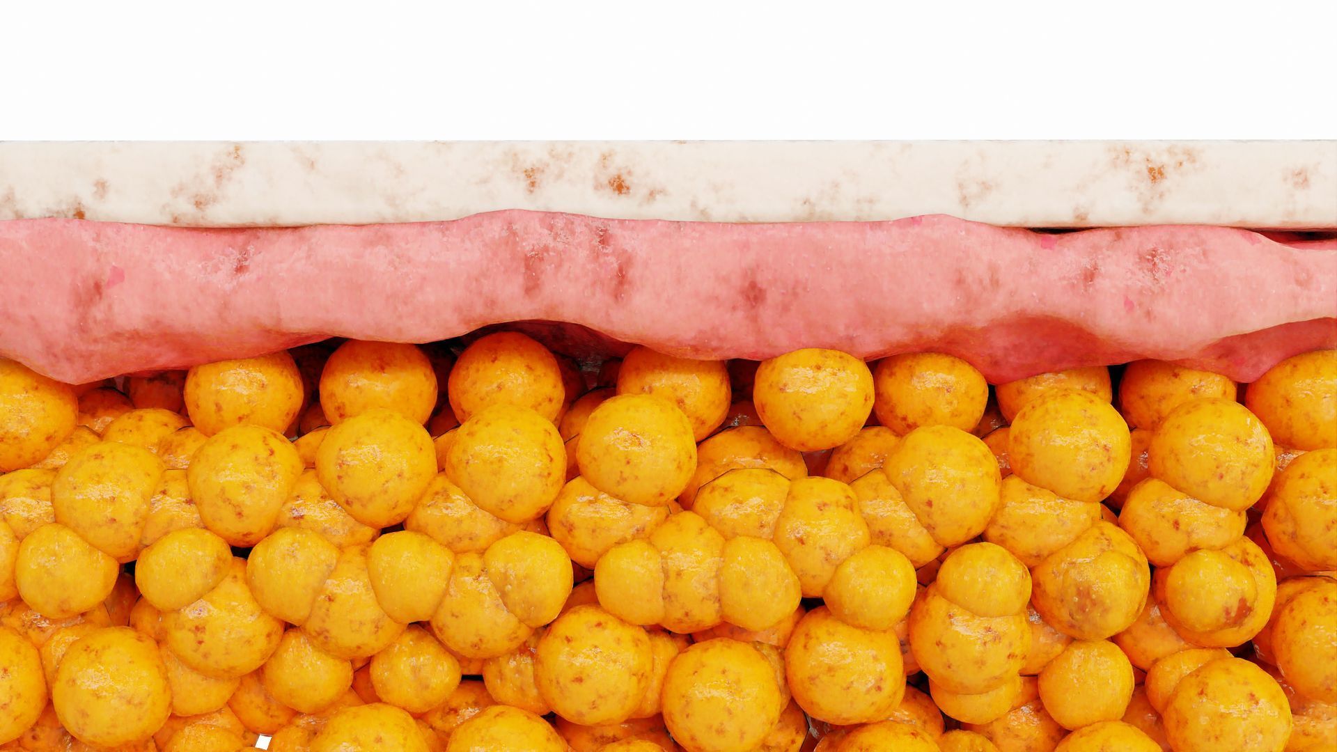 Cross-section of layers: cream, pink, and yellow bubble-like shapes, likely insulation materials.