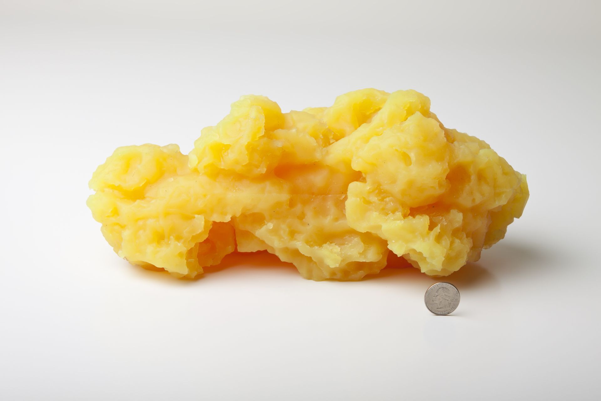 Yellow, mashed food pile with a silver coin for scale on white background.