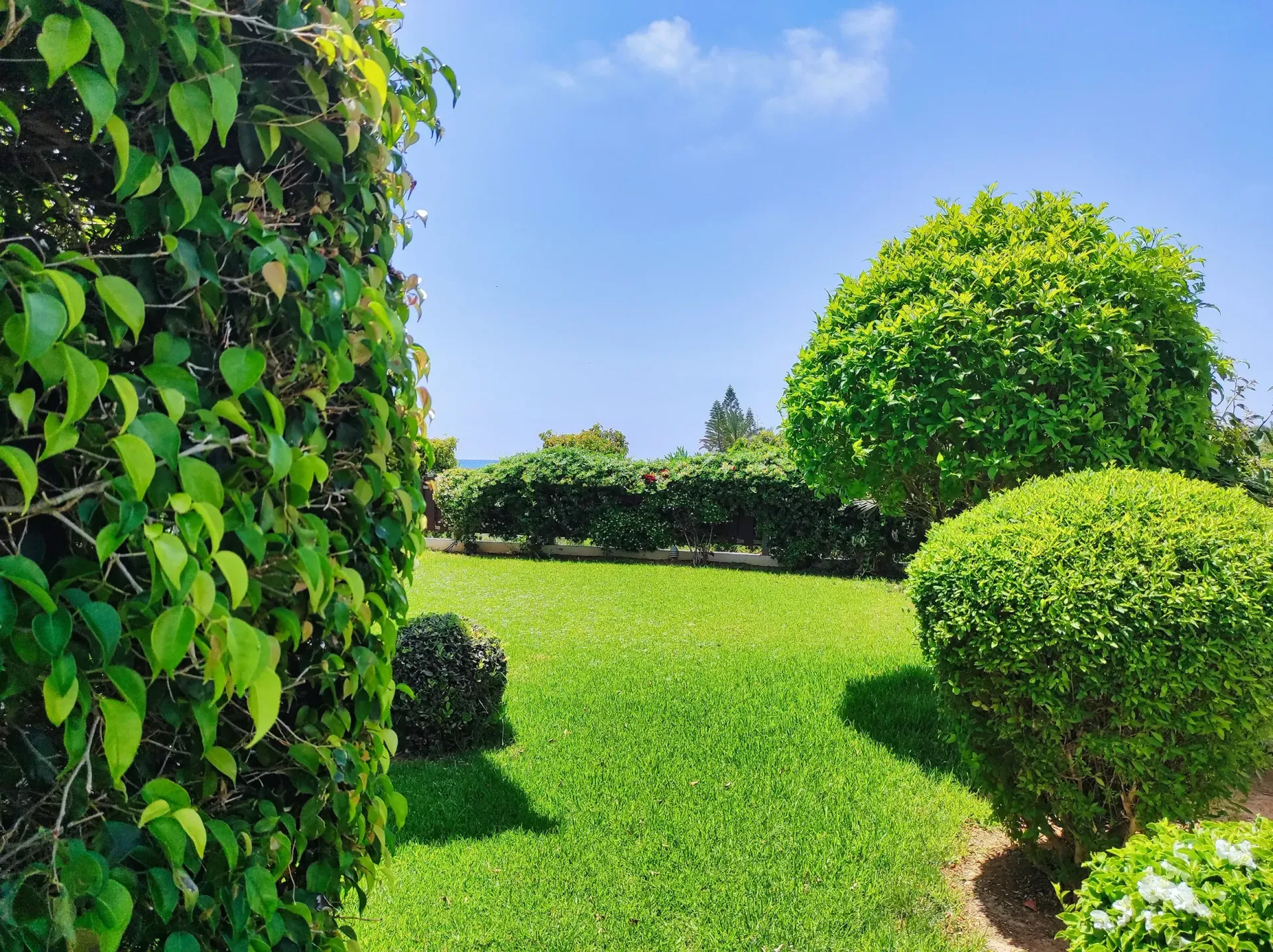 Lush green garden with neatly trimmed bushes and a bright blue sky.