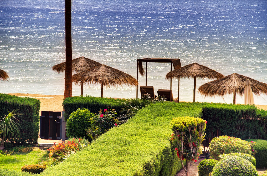 There are many umbrellas and chairs on the beach.