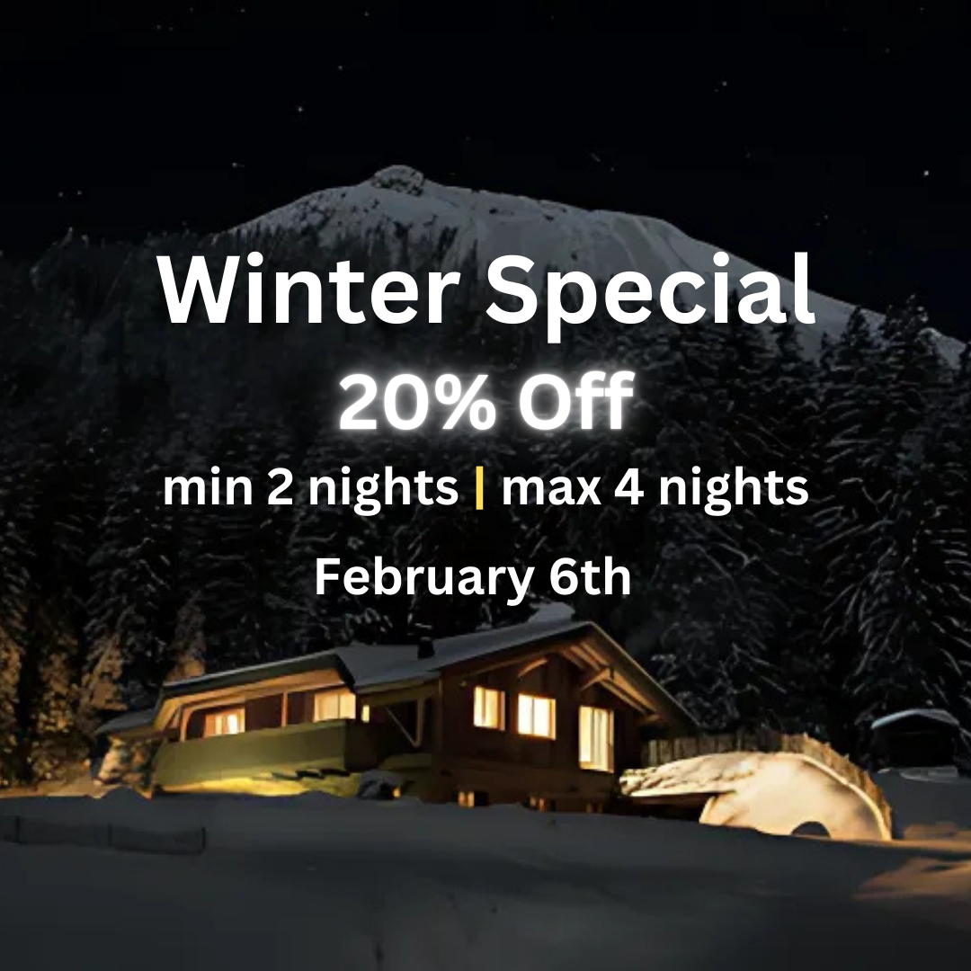 Winter special 20 % off min 2 nights max 4 nights february 6th