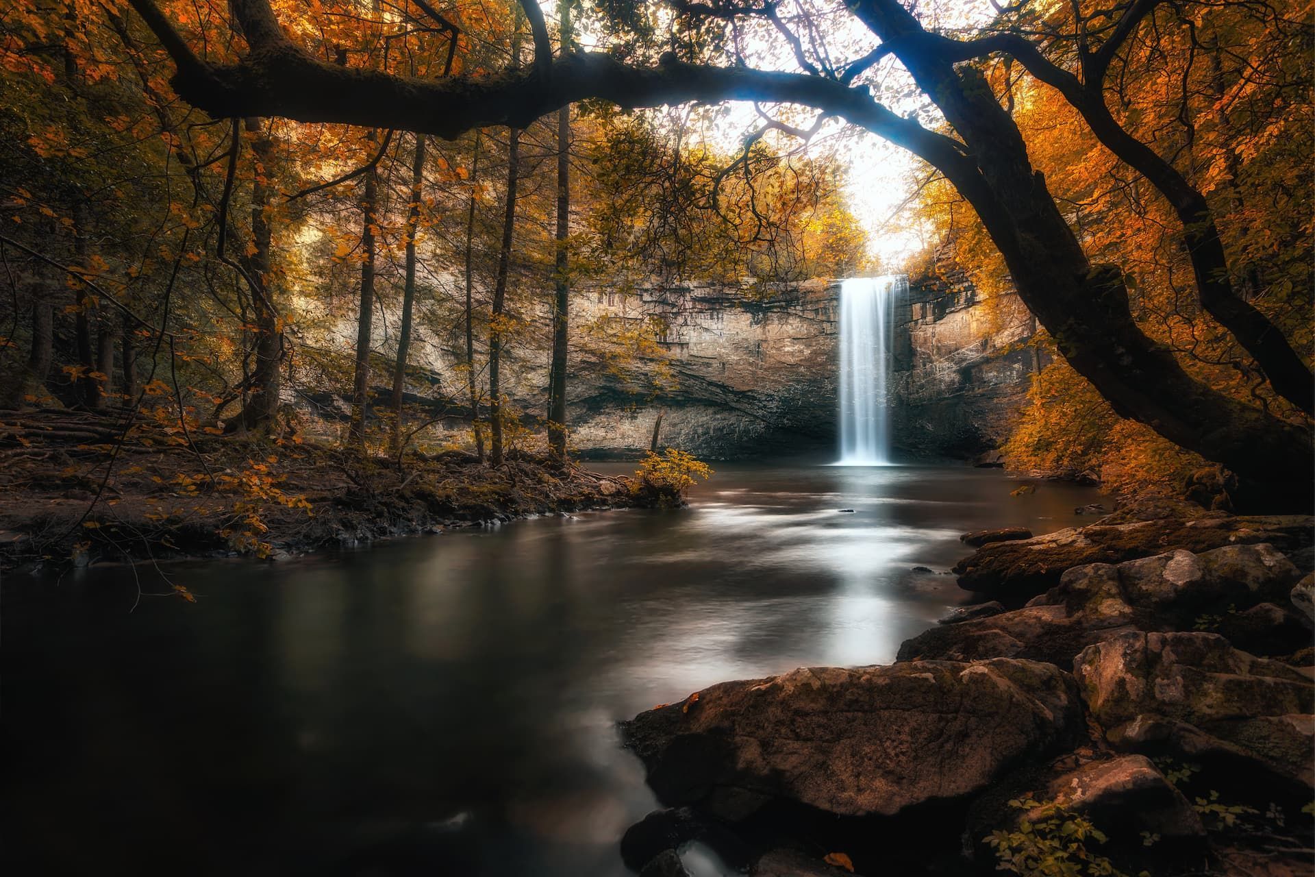 a waterfall is surrounded by trees and rocks in the middle of a forest .