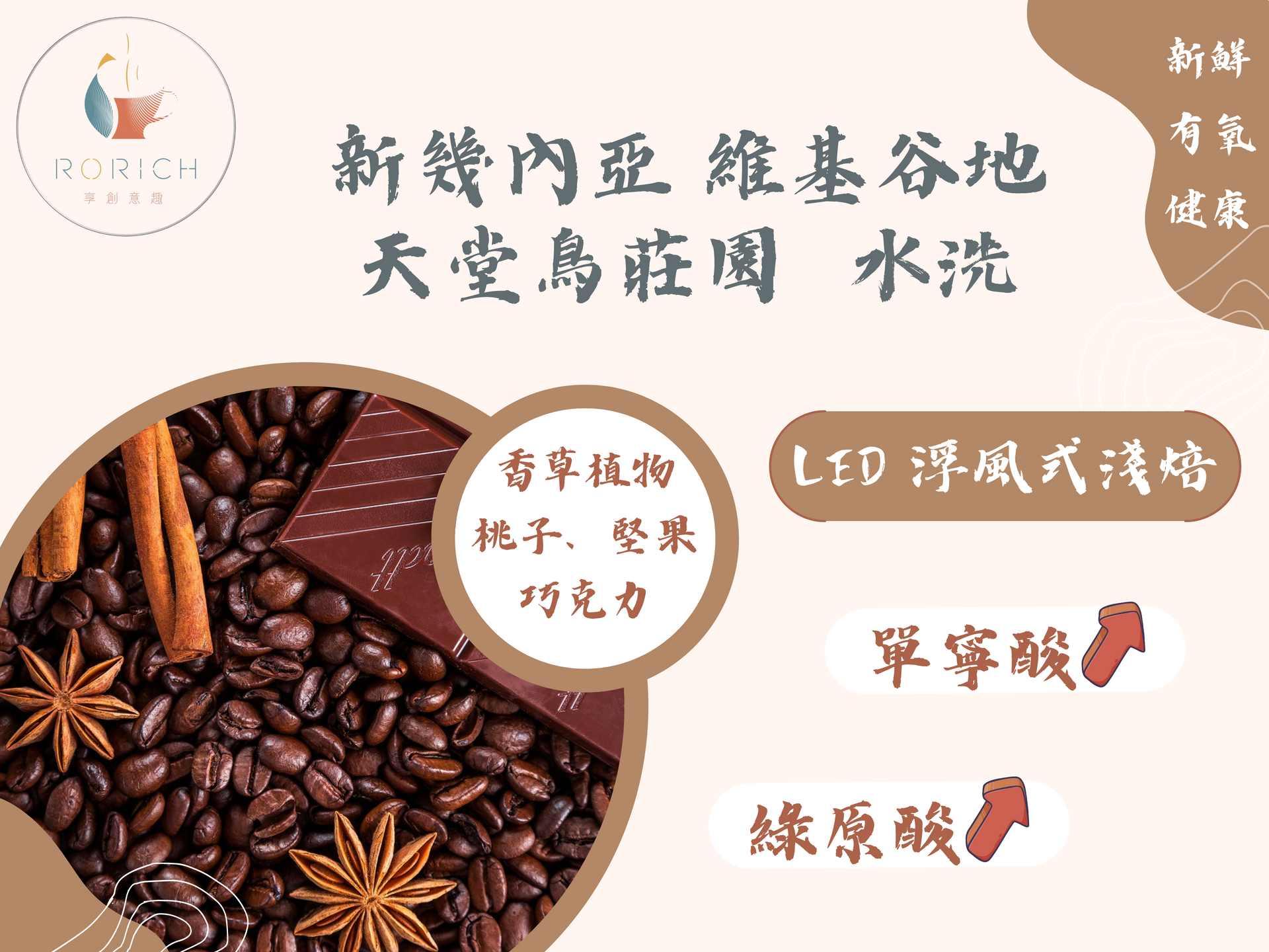 新幾內亞 維基谷地 天堂鳥 莊園咖啡