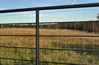 A Fence Surrounds A Field Of Grass And Trees — Rabbo's Fencing Services In Pinelands, NT