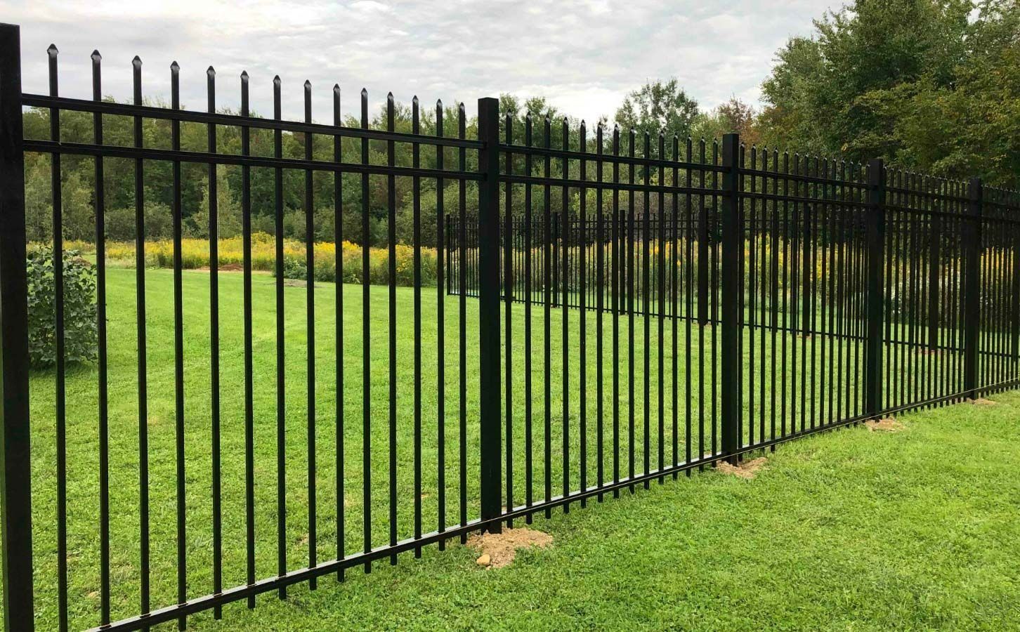 Black Metal Fence Surrounding A Grassy Yard