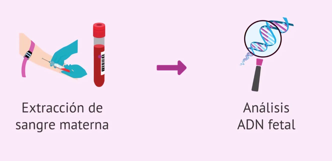 Fetal Vip Ortiz López y Cía. S. en C - TU BEBÉ Y TÚ EN LAS MEJORES MANOS