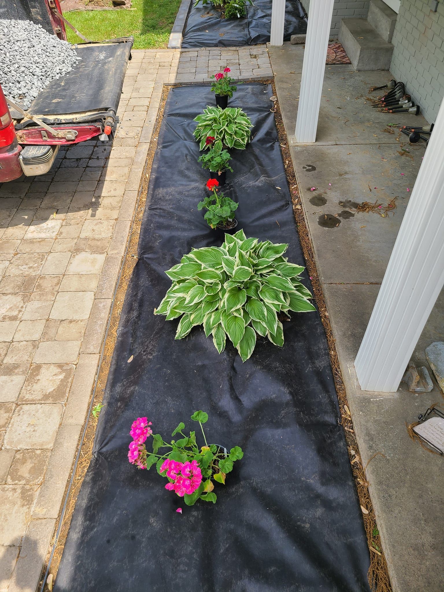 A narrow garden bed with black landscape fabric and various plants in front of a house.